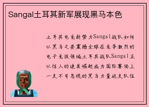Sangal土耳其新军展现黑马本色