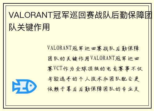 VALORANT冠军巡回赛战队后勤保障团队关键作用