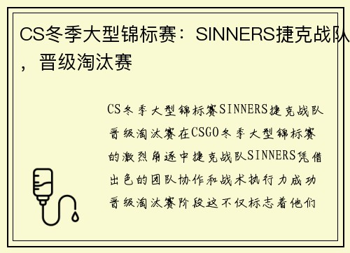CS冬季大型锦标赛：SINNERS捷克战队，晋级淘汰赛