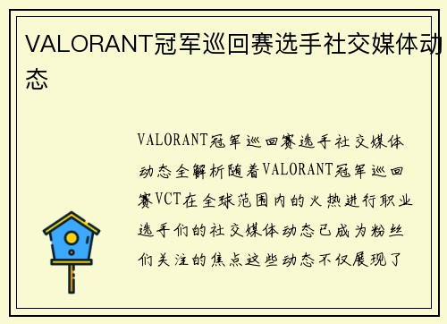 VALORANT冠军巡回赛选手社交媒体动态